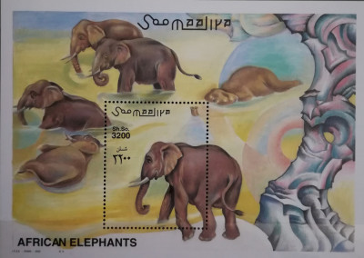 BC105, Somalia 2000, colita fauna, elefanti foto