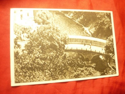 Ilustrata RPR Baile Herculane - Vedere , Ed. de Stat foto
