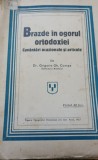 BRAZDE IN OGORUL ORTODOXIEI GRIGORE COMSA Cuv&acirc;ntări ocazionale. 1931 !!!!!