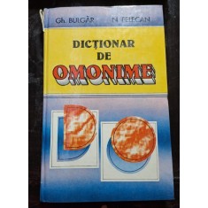 Dictionar de omonime - Gh. Bulgar si N. Felecan