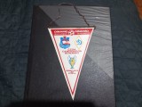 fanion Dinamo - Dinamo Minsk