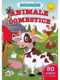 Cumpara ieftin Coloram animale domestice. 80 de pagini pentru tine!/***