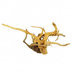 Cuckoo Root radacina pentru acvariu - 68 x 23 x 30 cm foto