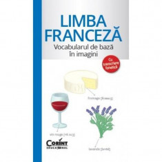 Carte pentru copii Vocabularul de bază în imagini Limba franceză, 96 pagini