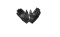 icon 1