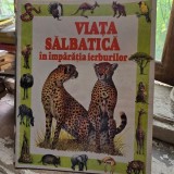 VIATA SALBATICA IN IMPARATIA IERBURILOR