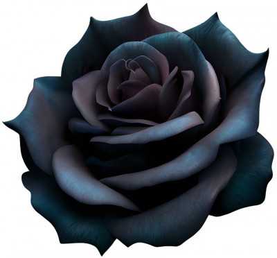 Sticker decorativ, Trandafir, Negru, 64 cm, 8645ST foto