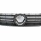 Grila radiator VW POLO (9N) (2001 - 2012) BLIC 6502-07-9506991P