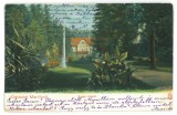 1330 - MARILLA, Caras Severin, Park, Romania - old postcard - used - 1902, Circulata, Printata