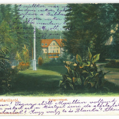 1330 - MARILLA, Caras Severin, Park, Romania - old postcard - used - 1902
