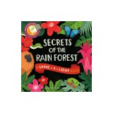 Secrets of the Rain Forest