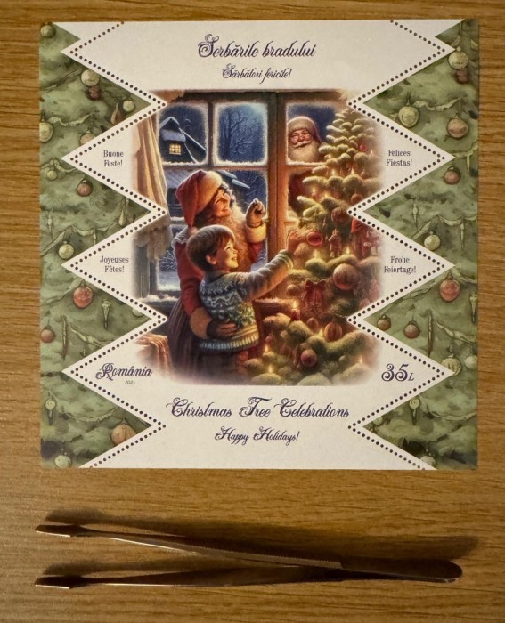 Serbarile Bradului, colita dantelata, 2023 LP 2446a