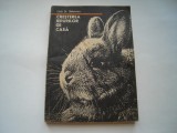 Cresterea iepurilor de casa - Liviu St. Rebreanu