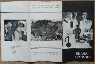 Expozitie Silvia Cambir foto