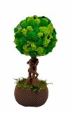 Pomisor cu licheni din muschi naturali stabilizati si plante criogenate cu trunchi statueta indragostiti, mediu (30x15x15 cm), verde maro