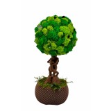 Pomisor cu licheni din muschi naturali stabilizati si plante criogenate cu trunchi statueta indragostiti, mediu (30x15x15 cm), verde maro