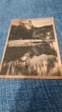 Cumpara ieftin CARTE POSTALA CASTELUL BRAN CIRCULATA 1954