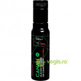 Ulei de Canepa Cu Chili Ecologic/Bio 100ml