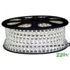 Banda LED 220V 12W/m 2700K Lumina Calda, 120 LED/m IP65, Delight, Interior/Exterior