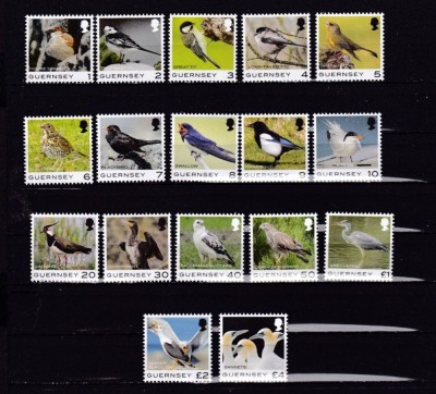 GUERNSEY 2021 FAUNA PASARI foto