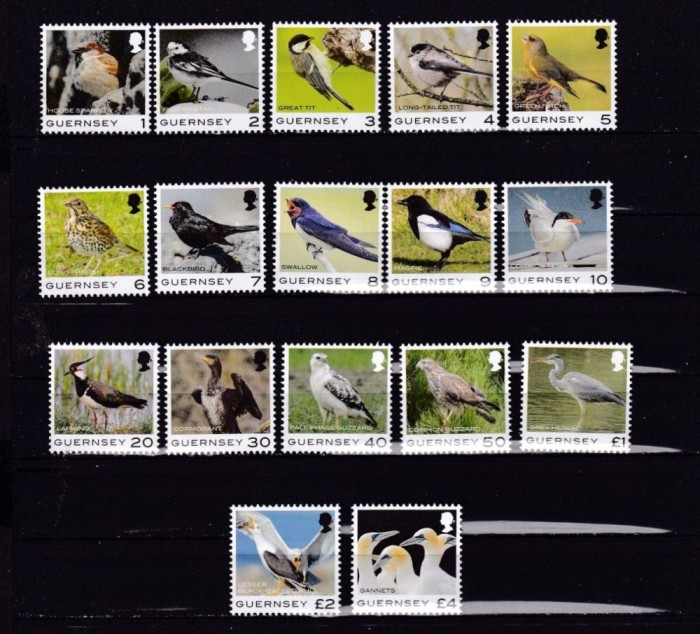 GUERNSEY 2021 FAUNA PASARI