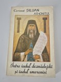 Cuviosul Siluan Athonitul Intre iadul denadejdii si iadul smereniei