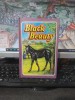 Black Beauty, Anna Sewell, Abbey Calssics, Leicester, circa 1980, 013