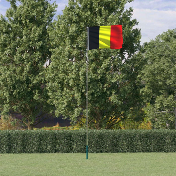 Steag Belgia si stalp din aluminiu, 5,55 m GartenMobel Dekor