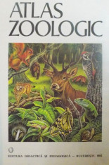 ATLAS ZOOLOGIC de CONSTANTIN BOGOESCU, ALEXANDRU DABIJA SI EMIL SANIELEVICI, BUC. 1980 foto