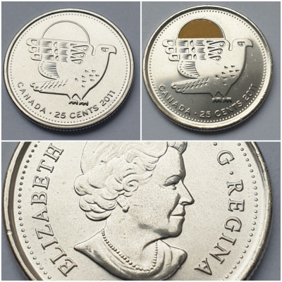 2 monede 25 cents 2011 Canada, Peregrine Falcon, unc, varianta color &amp;amp; normala foto