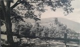 1901 CP I. Petrovici către C. Meissner / Heidelberg - Iasi - Tg Neamt
