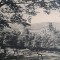 1901 CP I. Petrovici către C. Meissner / Heidelberg - Iasi - Tg Neamt