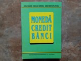 CEZAR BASNO - MONEDA, CREDIT, BANCI, 2003