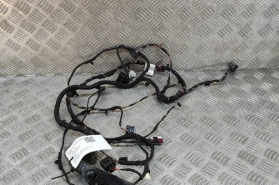 Cablaj ușă dreapta față BMW 6 Cabrio F12 2012 OEM: 9237242,9237241 29483160 foto