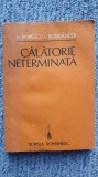 Calatorie neterminata - N. Popescu Bogdanesti, 1986, Ed Scrisul Romanesc 269 pag