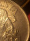 Foto  - 11