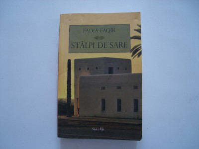 Stalpi de sare - Fadia Faqir foto