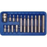 Vorel 66720 - Set capete de insurubare mixt 15 bucati