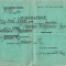 A3655N Adeverință militară de scutire de serviciu ca glotaș pentru un sas originar din Făgăraș, Primul Război Mondial, 1918, Budapesta