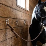 vidaXL Inele de legare a calului cu șuruburi cu ochi, 3 buc., argintiu, oțel 172471