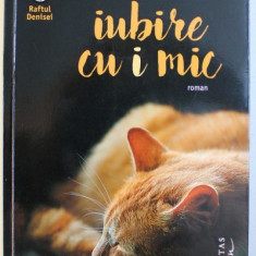 IUBIRE CU I MIC - ROMAN de FRANCESC MIRALLES , 2017