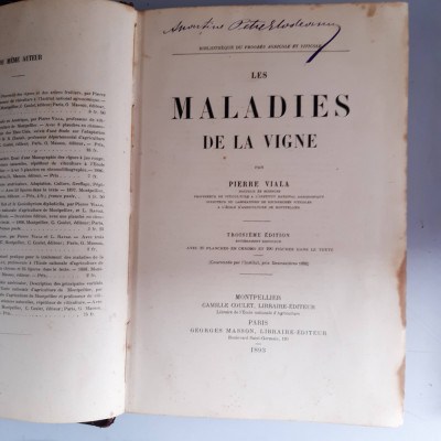 Boli ale viței de vie - Les maladies de la vigne - 1893 foto