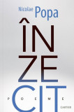 &Icirc;nzecit - Paperback brosat - Nicolae Popa - Cartier