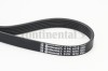 CONTINENTAL CTAM 6PK1070 Curea transmisie cu caneluri