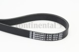 CONTINENTAL CTAM 6PK1070 Curea transmisie cu caneluri