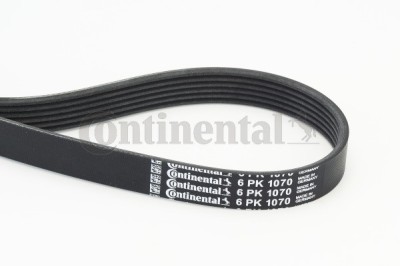 CONTINENTAL CTAM 6PK1070 Curea transmisie cu caneluri foto