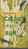 Calaul Cel Bun - Vasile Rebreanu, Editura Tineretului, 1965, Roman