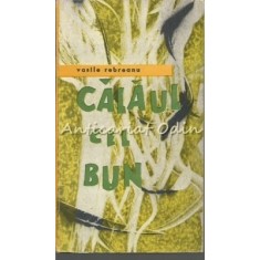 Calaul Cel Bun - Vasile Rebreanu