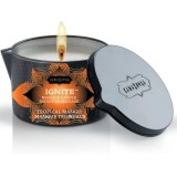 Kamasutra Cosmetics-Lum&acirc;nare de Masaj Tropicală cu Linguriță 170