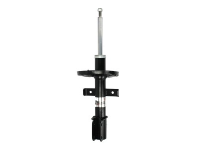 Amortizor RENAULT CLIO III (BR0/1, CR0/1) (2005 - 2012) Magnum Technology AGR138MT foto